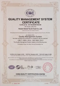 ISO 9001